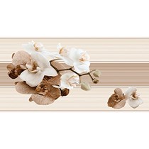 Gạch ốp tường Prime 30x60 8440
